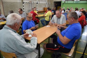 Županijski susret umirovljenika 16.06.2018 (173)